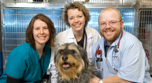 Veterinarians and Dog