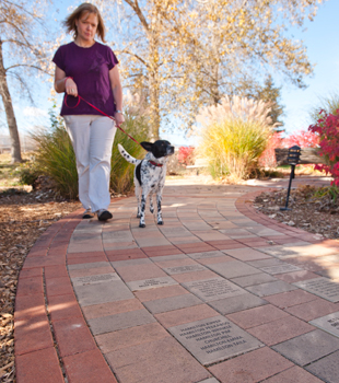 Owner and Dog Walking on Brick Path