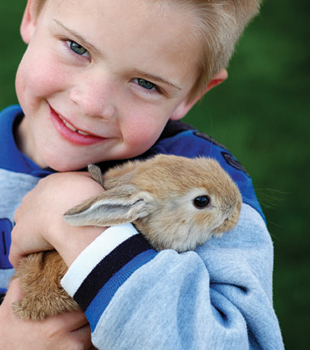 Boy Holding Bunny