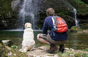 Man and Dog at Waterfall