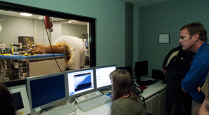 Looking at images in the PETCT Horse Viewing Room