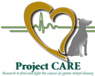Project Care Logo
