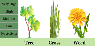 pollen count graphic